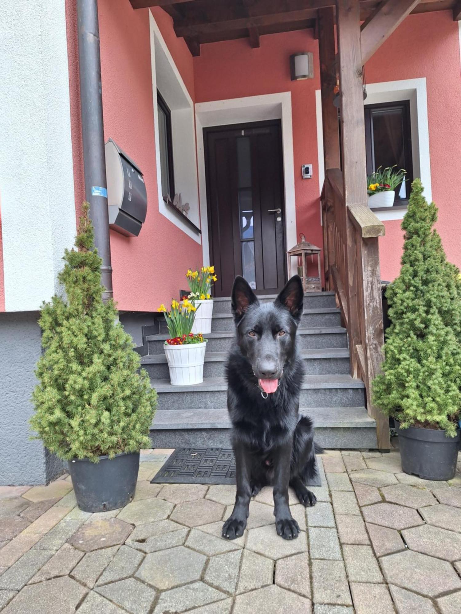 Haus Hoell Herta Hallstatt Zewnętrze zdjęcie