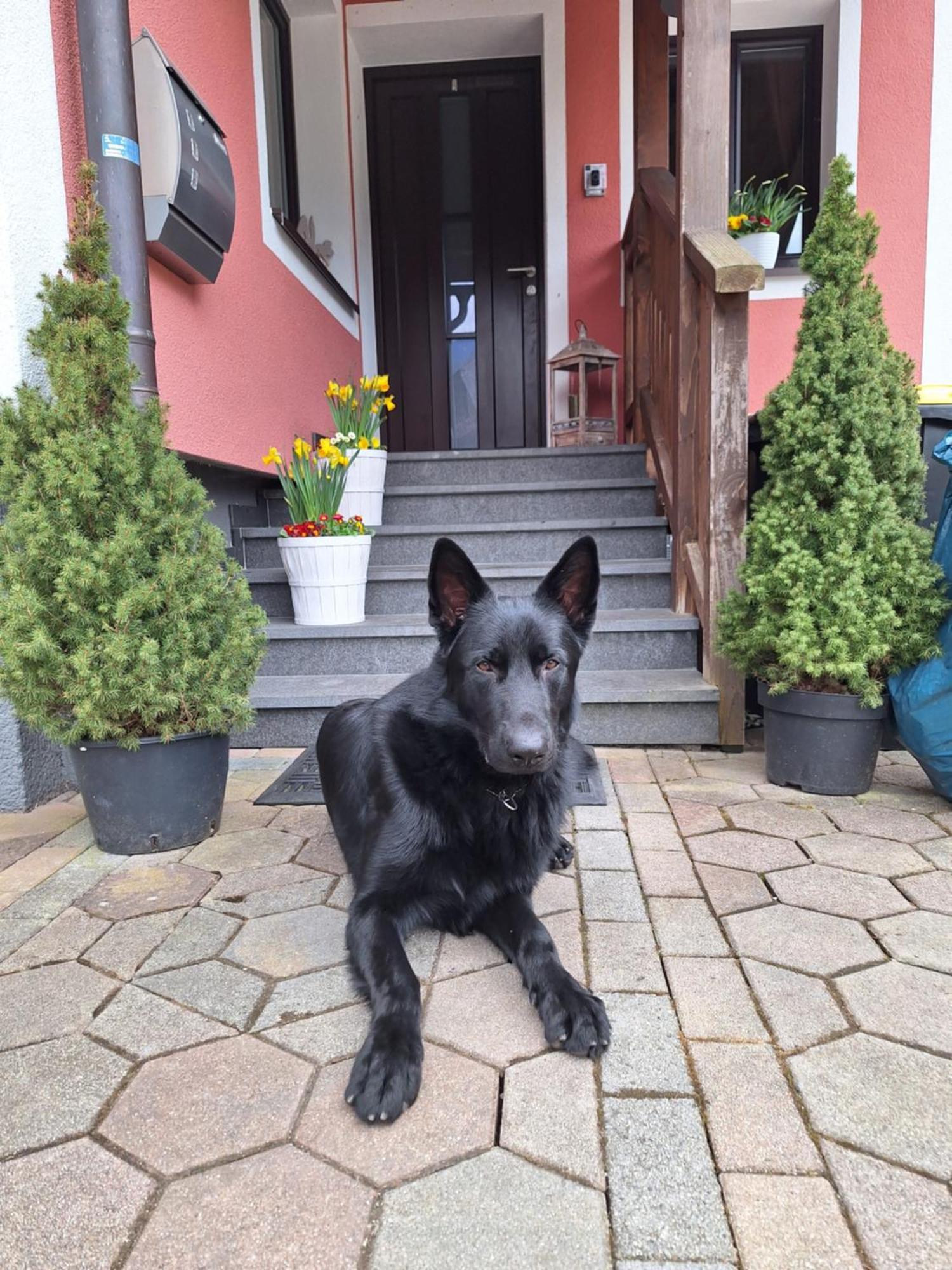 Haus Hoell Herta Hallstatt Zewnętrze zdjęcie